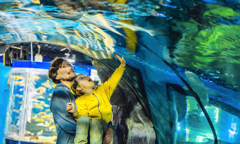 fun at Dallas World Aquarium 