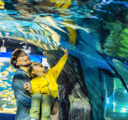 fun at Dallas World Aquarium 