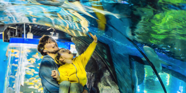 fun at Dallas World Aquarium 