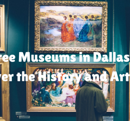 Man in museum, best free museums in Dallas