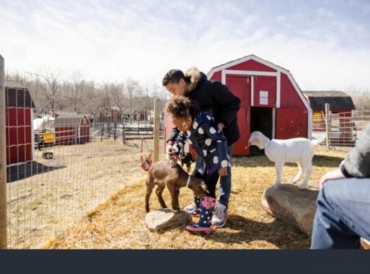 brother sister in the Children’s Health Barnyard.