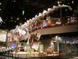 Perot Museum of Nature and Science Dallas, Texas