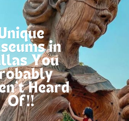 A women watching a huge sculpture. Unique Museums in Dallas You Probably Haven't Heard Of!!