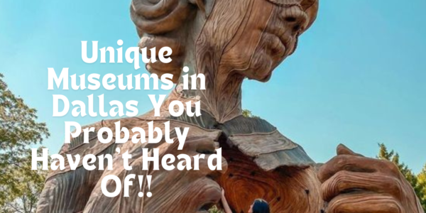 A women watching a huge sculpture. Unique Museums in Dallas You Probably Haven't Heard Of!!