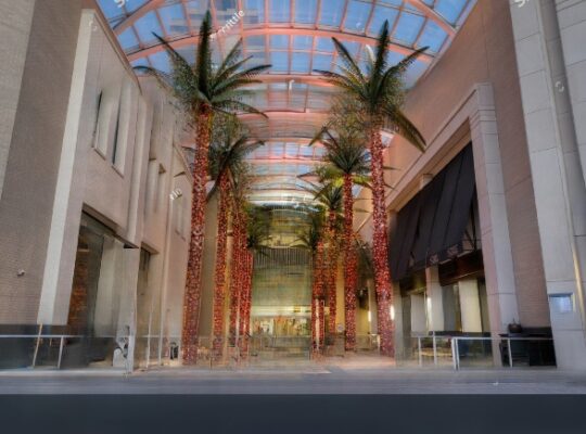 Interior view of Galleria Dallas featuring tall palm trees surrounded by upscale shops and natural light, creating a vibrant shopping atmosphere.