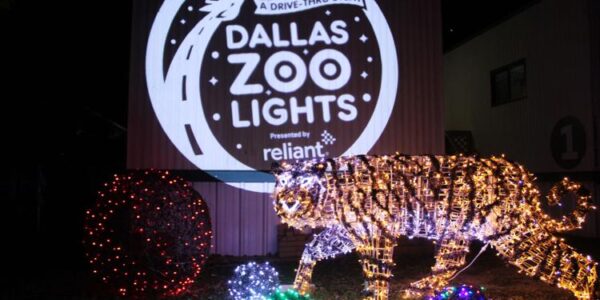 A beautiful picture of outside view of Dallas Zoo Light