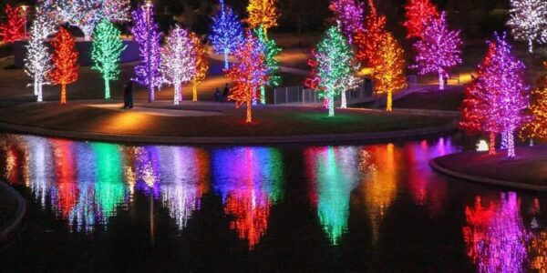 Trees filled with lights, Dallas holiday light displays