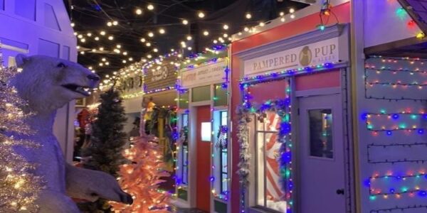 entrance view of SNOWDAY Holiday Pop-Up Dallas, Magical things to do in Dallas this December