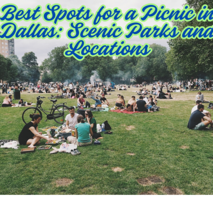 Best Spots For Picnic In Dallas