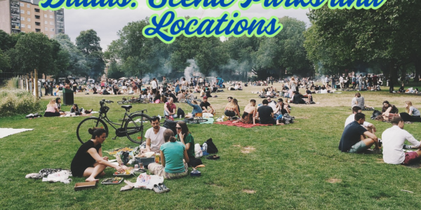 Best Spots For Picnic In Dallas