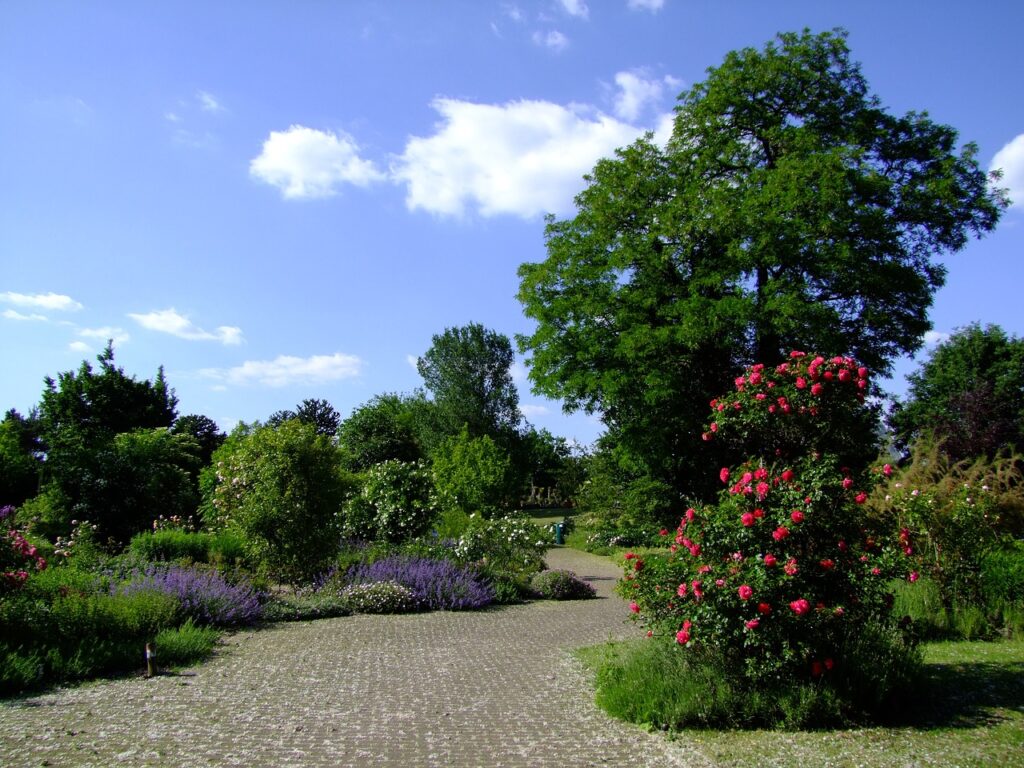 Botanical Garden Dallas